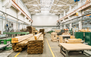 The Safe & Legal Choice for Birch Plywood