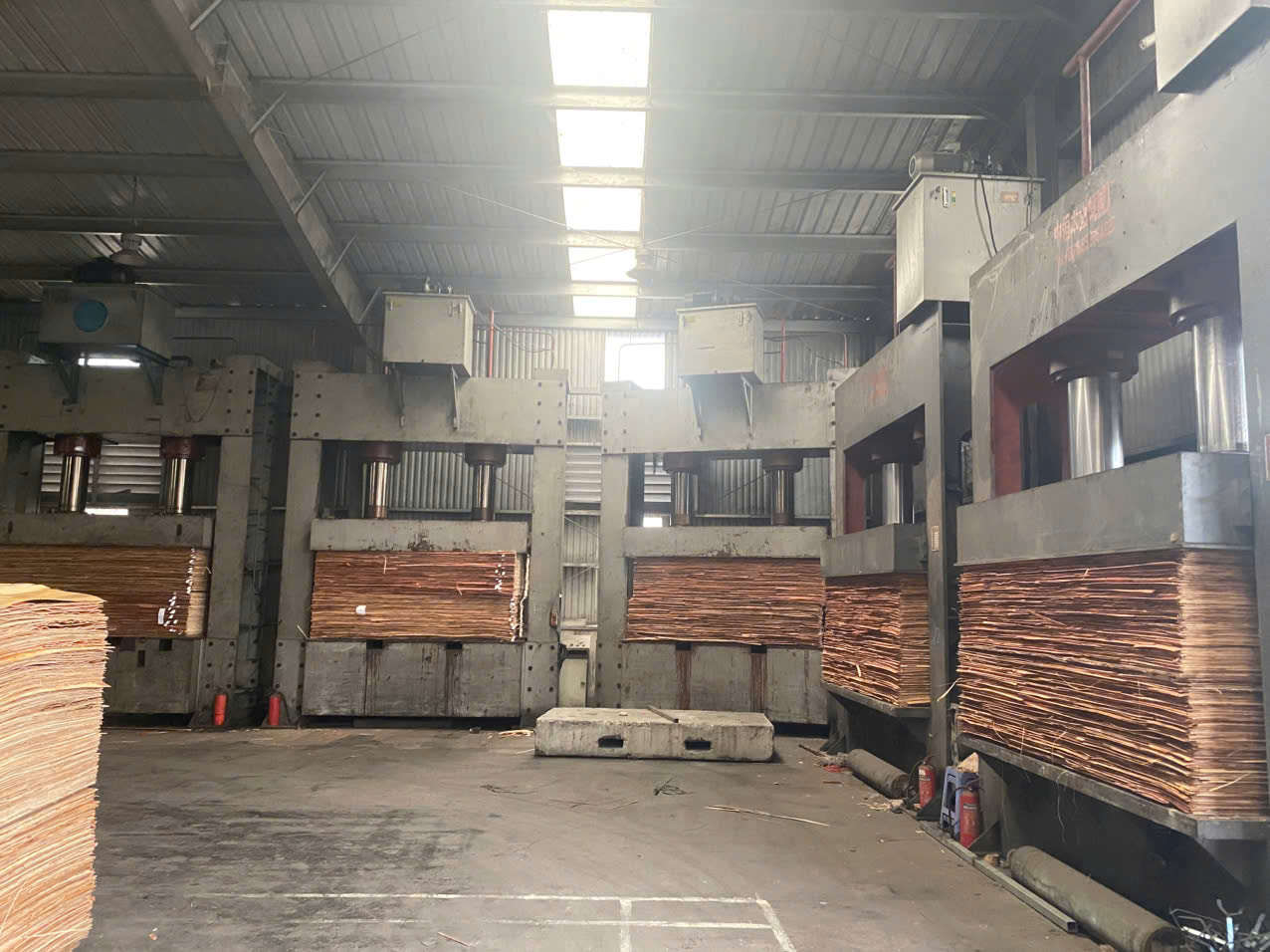 Cold-pressing machine